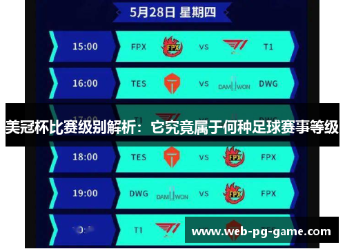 美冠杯比赛级别解析：它究竟属于何种足球赛事等级