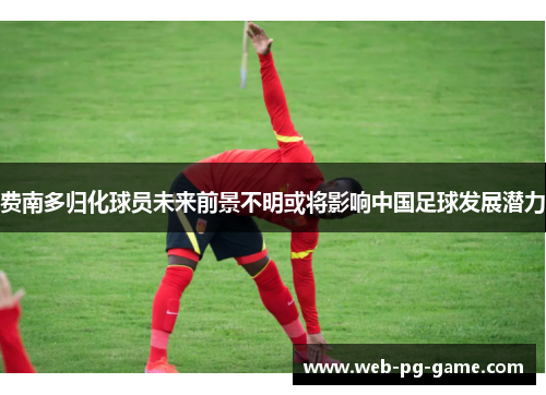 费南多归化球员未来前景不明或将影响中国足球发展潜力 费南多归化球员未来前景不明或将影响中国足球发展潜力