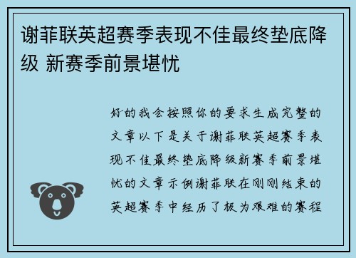 谢菲联英超赛季表现不佳最终垫底降级 新赛季前景堪忧