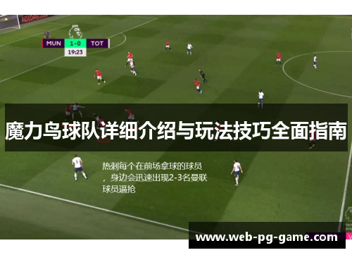 魔力鸟球队详细介绍与玩法技巧全面指南